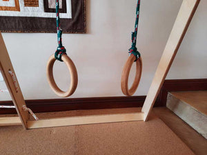 Indoor Jungle Gym | Trapeze rings included