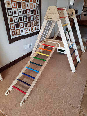 Indoor Jungle Gym | Optional Ladder
