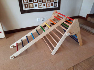 Ladder | Connected to Pikler Inspired Climbing Triangle