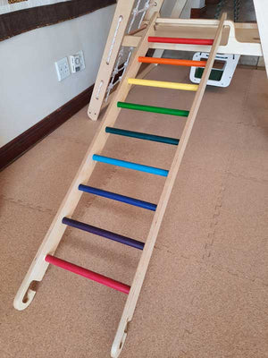 Ladder | For use with any Climbing Frame
